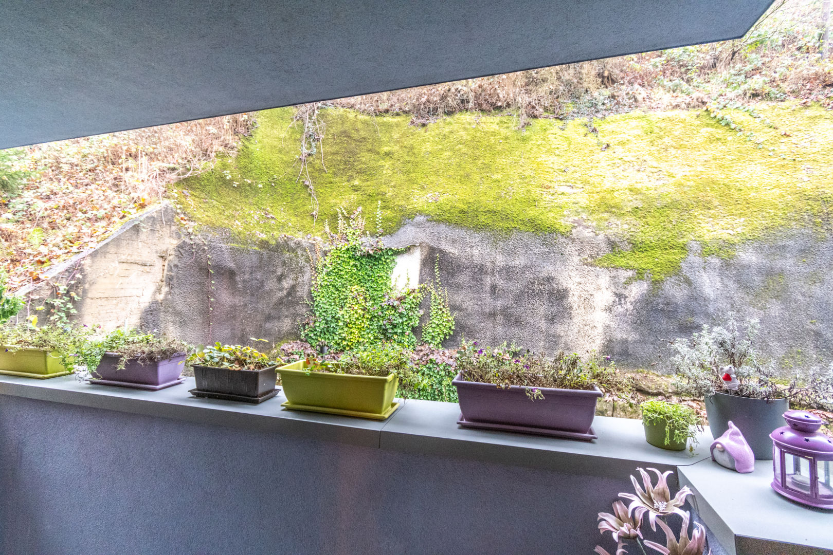 Image du bien immobilier 5