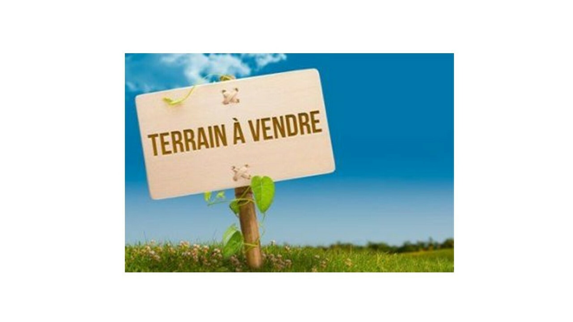 Image du bien immobilier 1