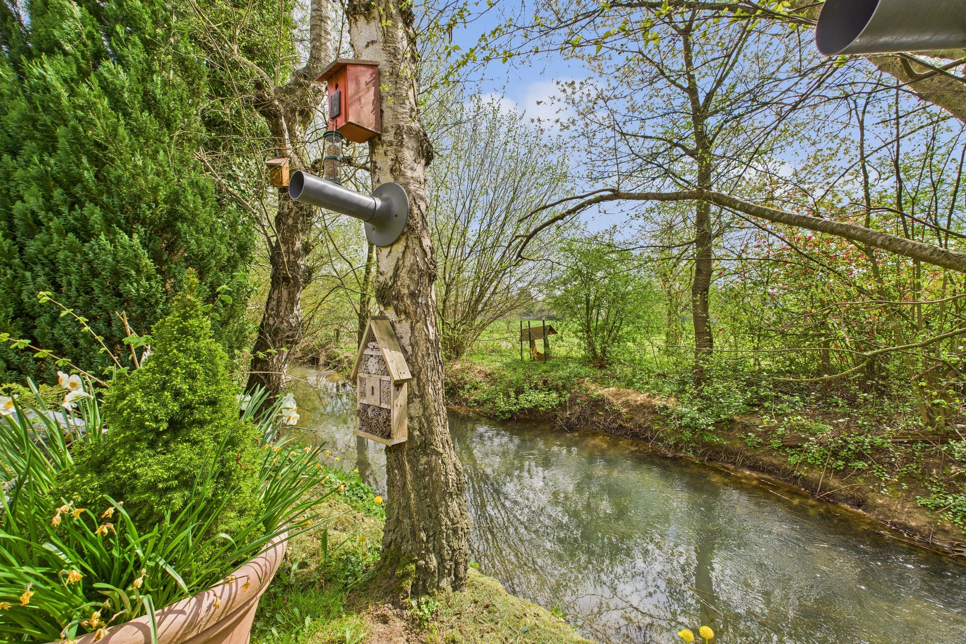 Image du bien immobilier 5