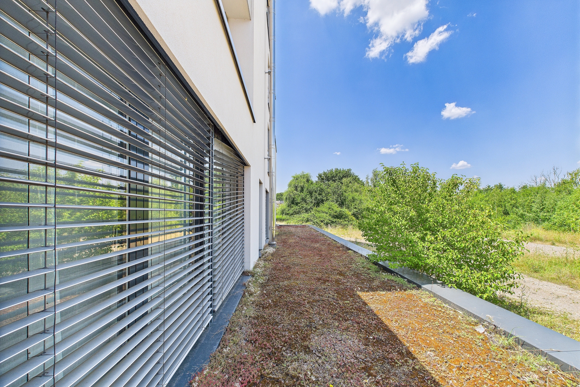 Image du bien immobilier 17