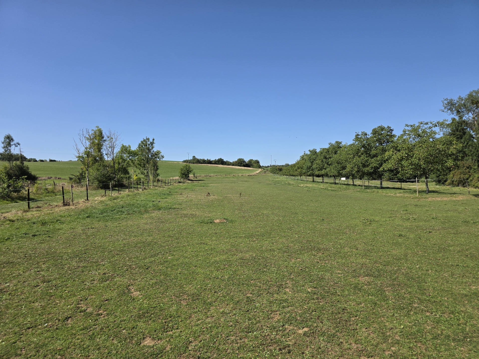 Image du bien immobilier 3