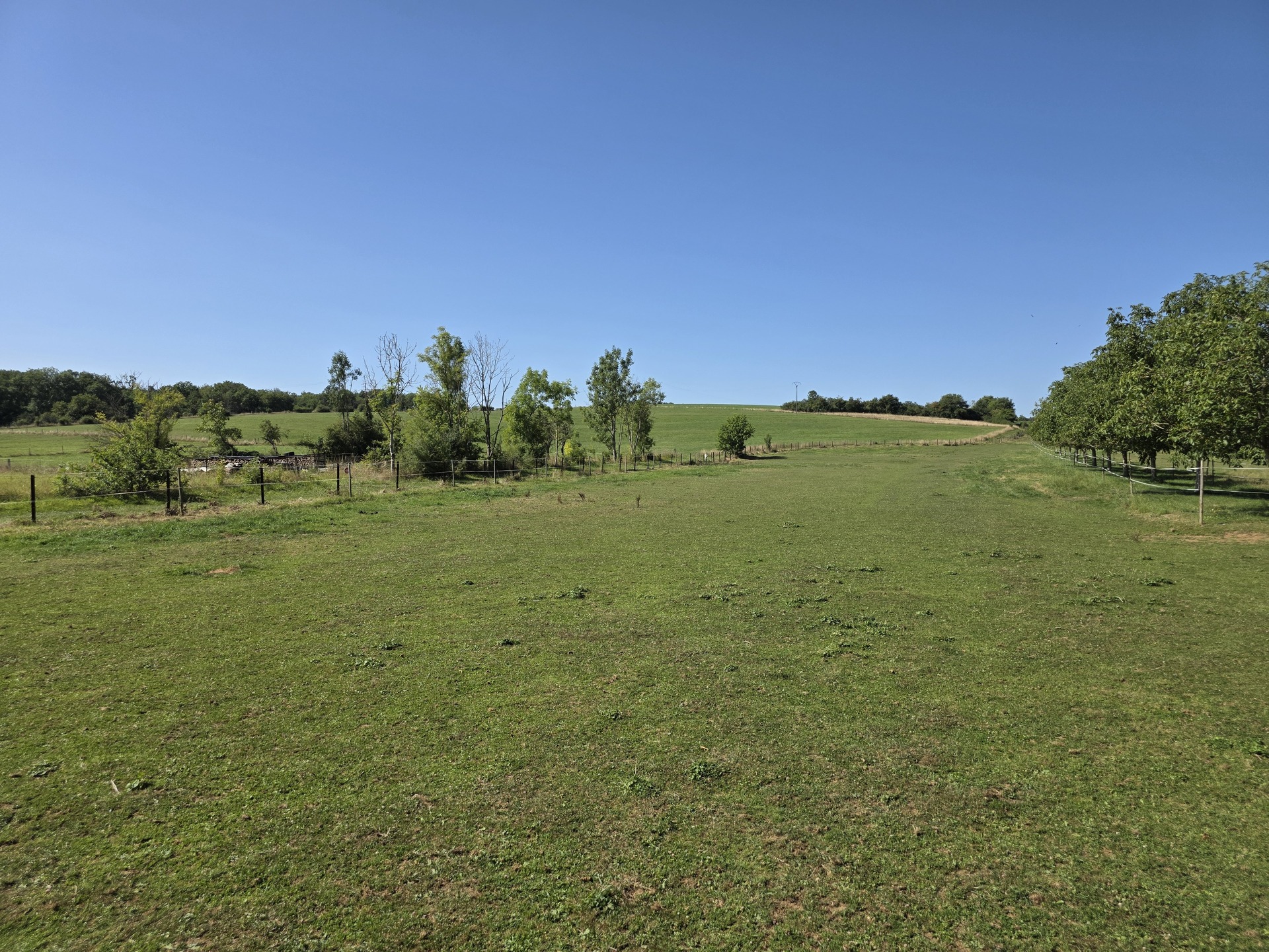 Image du bien immobilier 4