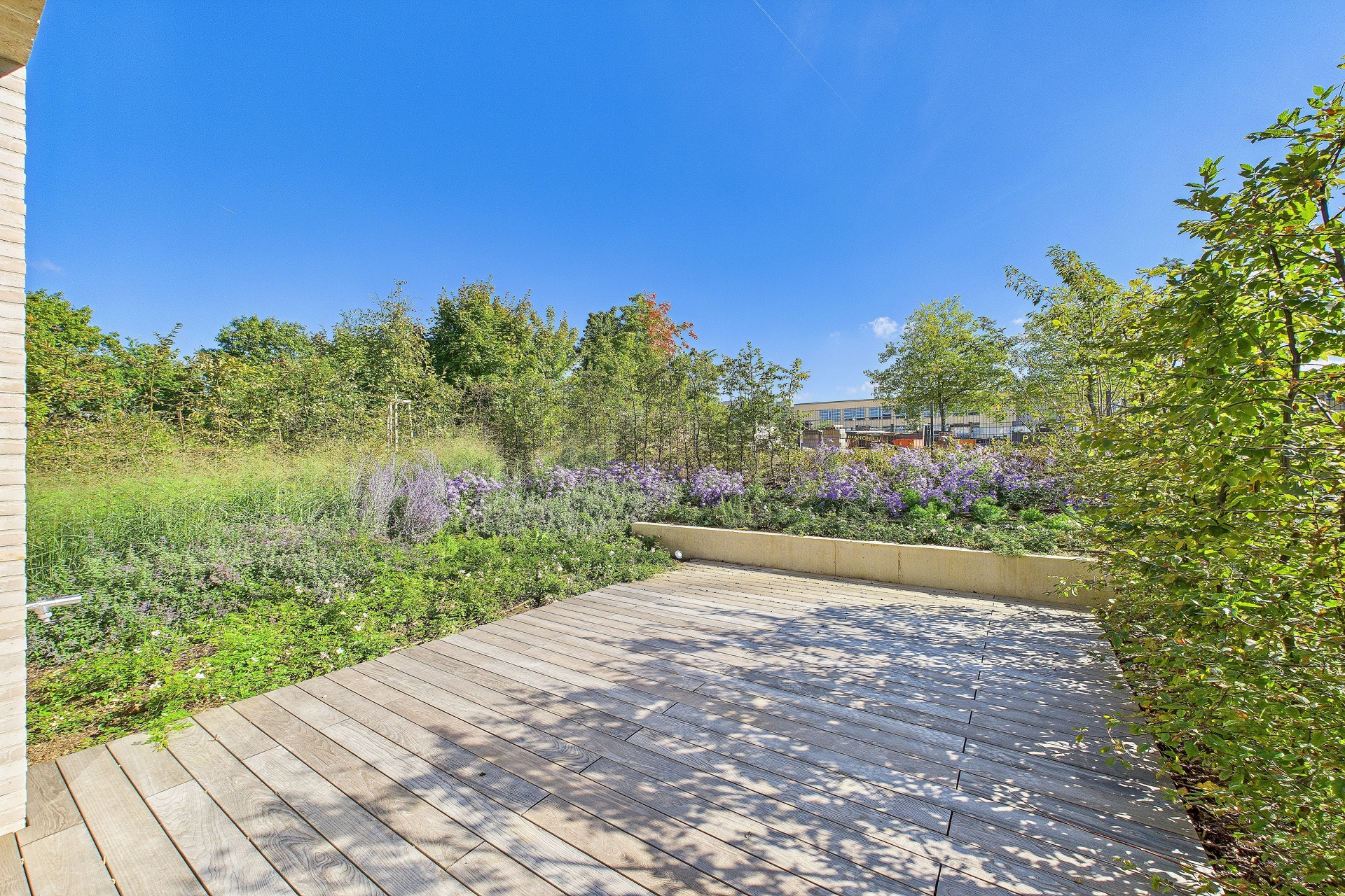 Image du bien immobilier 24