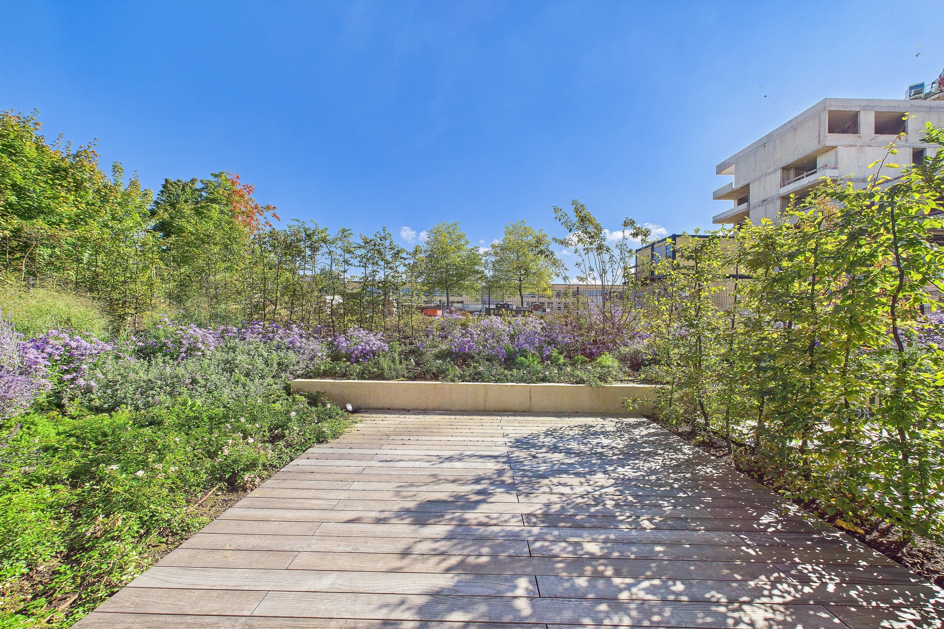 Image du bien immobilier 25