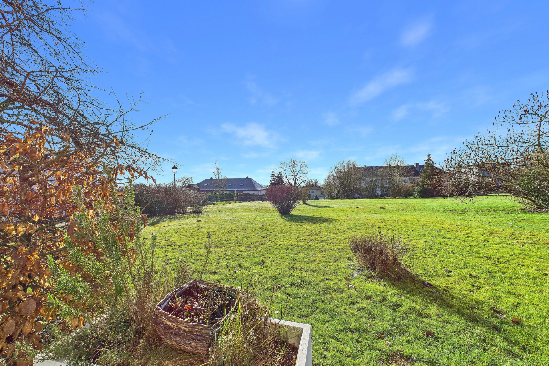 Image du bien immobilier 5