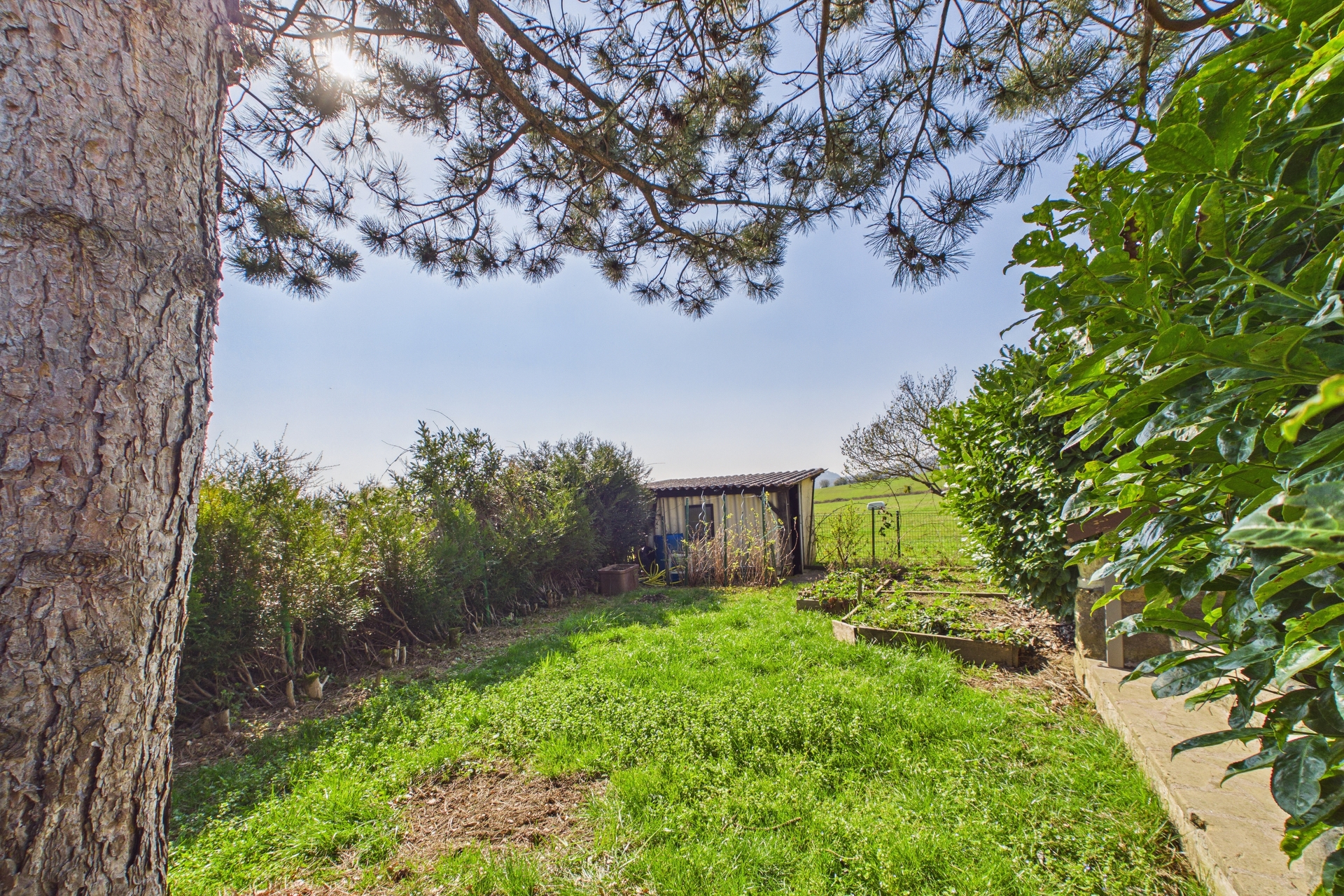 Image du bien immobilier 15