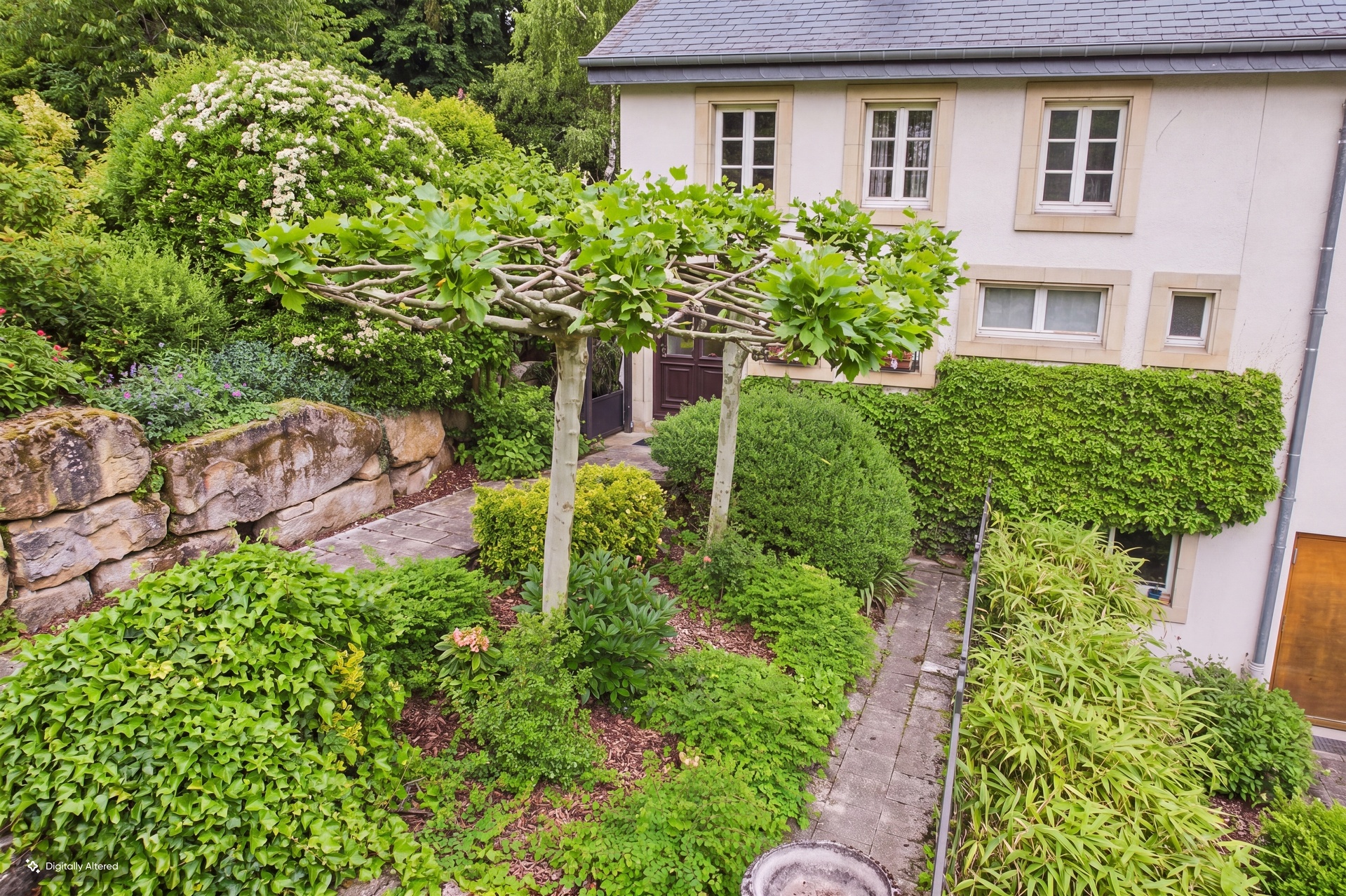 Image du bien immobilier 2