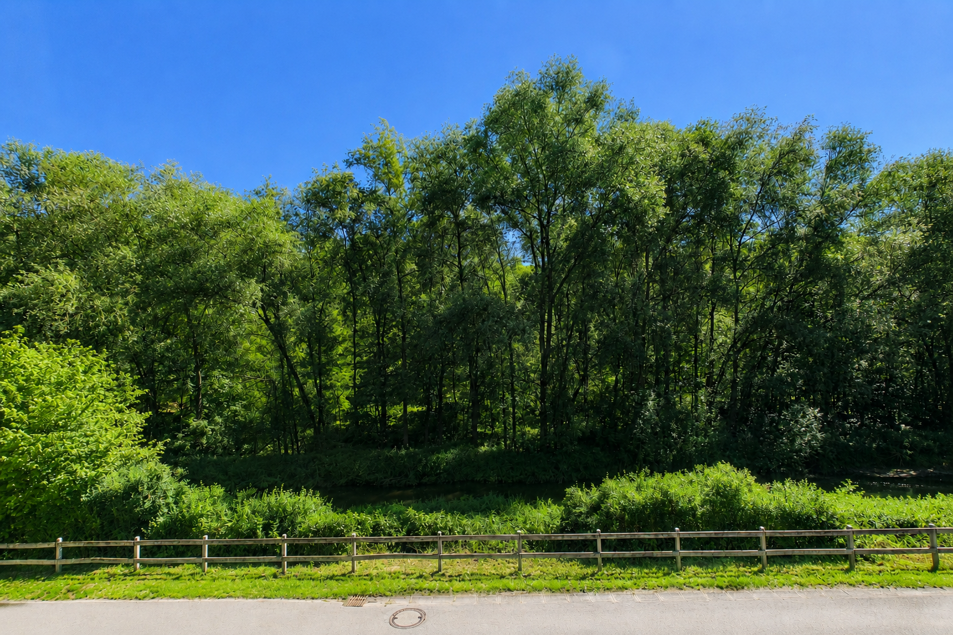 Image du bien immobilier 2