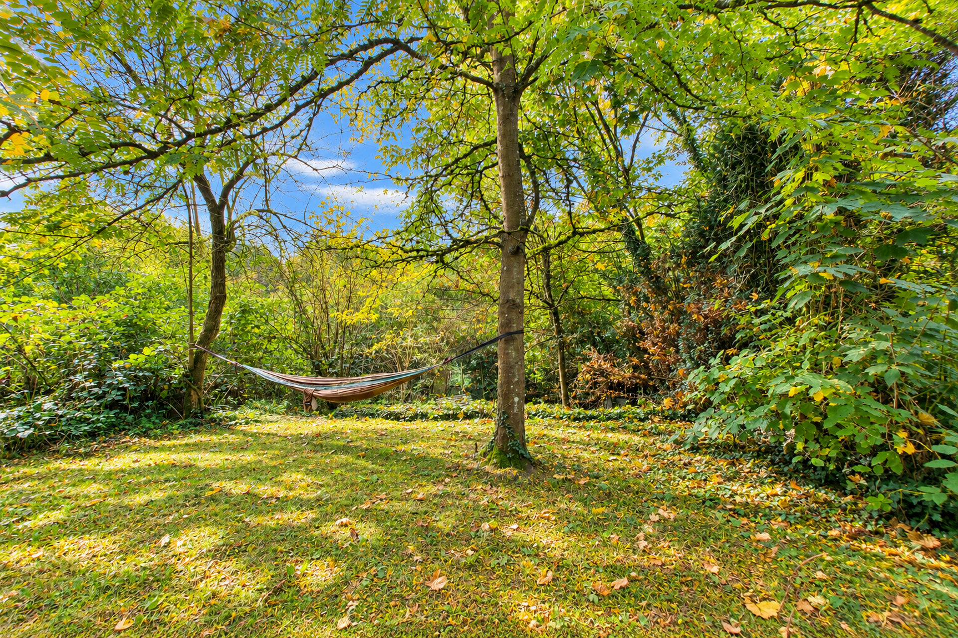 Image du bien immobilier 16