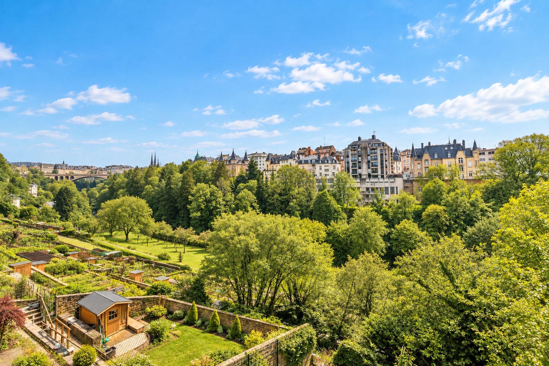 Image du bien immobilier 11